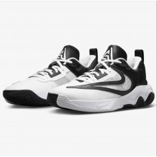 Кросiвки Nike DZ7533-100