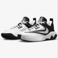 Кросiвки Nike DZ7533-100