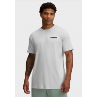 Футболка Under Armour 1390203-377
